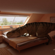Illustration for article titled More Proof That Dinosaurs Evolved From Birds, Not The Other Way Around